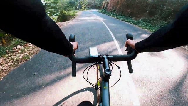 Bergamont grandurance 6.0 смотреть онлайн