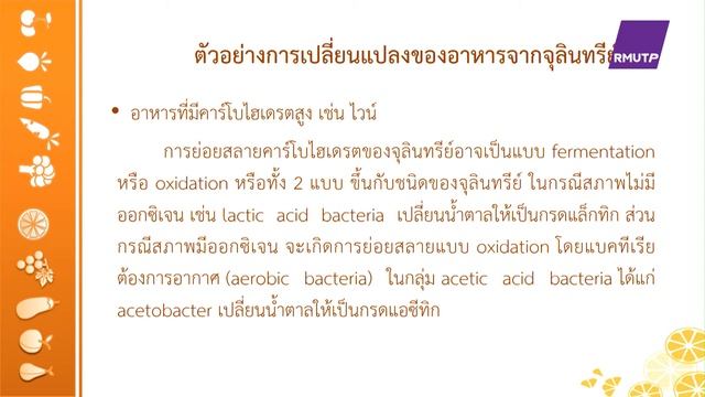 ตอนที่ 9 จุลชีววิทยาทางอาหาร смотреть онлайн