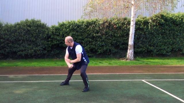 The Lam Tai Chi Chuan Short form Lesson 9 смотреть онлайн