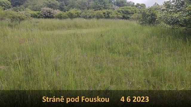 Stráně pod Fouskou смотреть онлайн