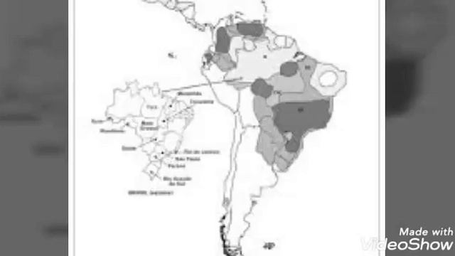 Paracoccidioidomicose смотреть онлайн