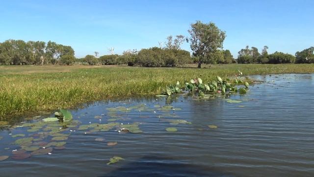 Yellow Water cruise @ Kakadu National Park 2/2 смотреть онлайн