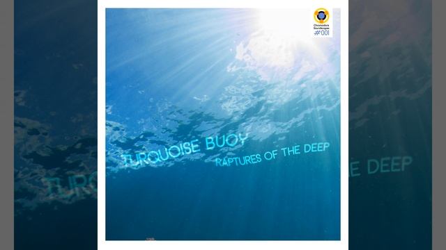 Heteractis Magnifica (at 18 Meters Deep) смотреть онлайн