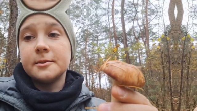 Невероятно находка:100 грибов за 2 часа! смотреть онлайн