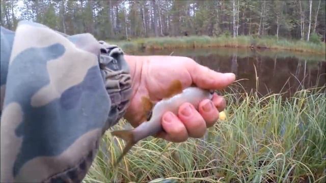 Рыбалка Робинzона смотреть онлайн