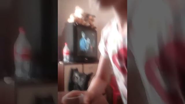 Мое утро с попугаем смотреть онлайн