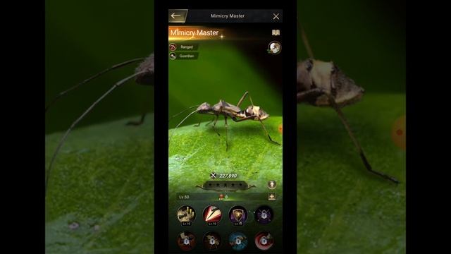 The Ants Underground Kingdom | Special Ants Star-Up Function | March unit And Chat skin смотреть онлайн