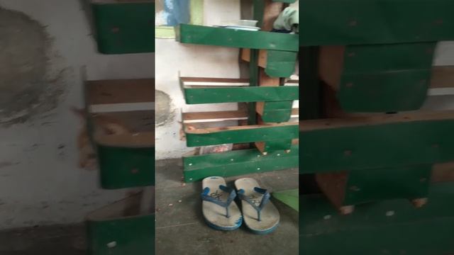 serunya Toby & Luna main di rak sepatu #shorts #cat #comedy #funny #viral #lucu смотреть онлайн