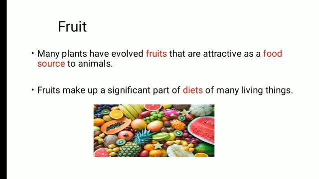 Grade 6- Science Unit 1 Lesson 1 Lecture 2 смотреть онлайн