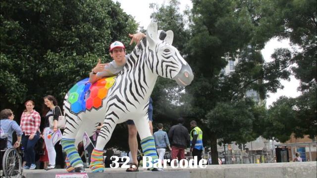 Southampton Zany Zebra Trail 2016 | Tulf42 смотреть онлайн