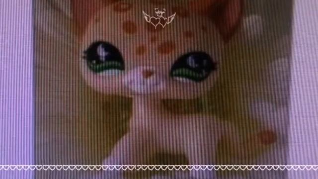 LPS Королева стоячих кошек!!!! смотреть онлайн