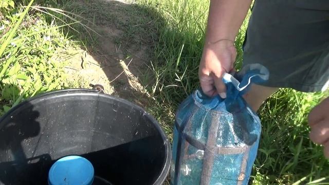Can I catch FRESHWATER SHRIMP with pork fat. Pork Fat experiment. смотреть онлайн