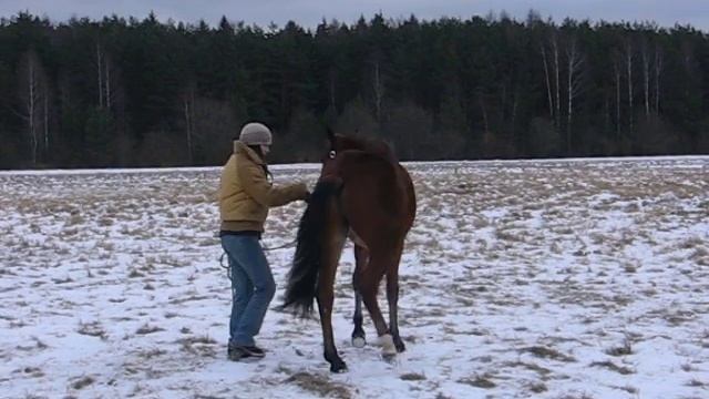 поворот на переду смотреть онлайн