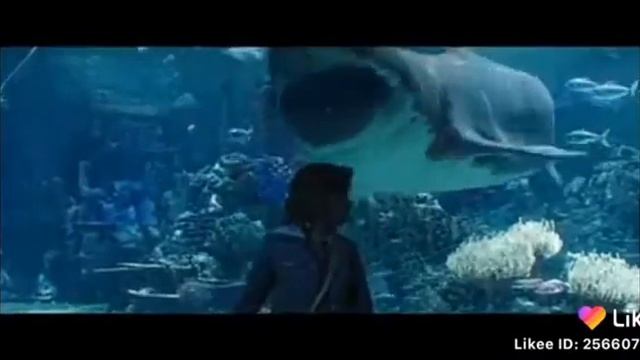 Dengiz Qiroli Juda Ajoyib