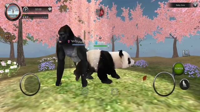 Getting a Panda in Region 0 by тσтσ. смотреть онлайн