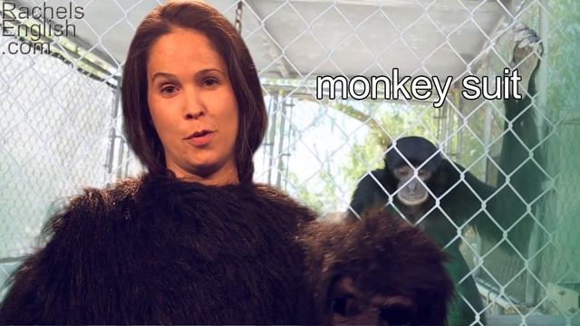 How to Pronounce MONKEY IDIOMS! American English Pronunciation смотреть онлайн