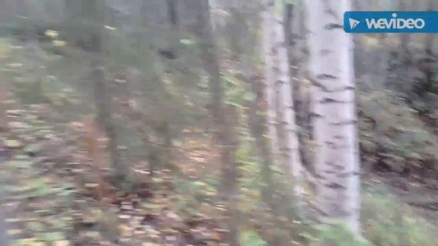 Выход по грибы(5) смотреть онлайн