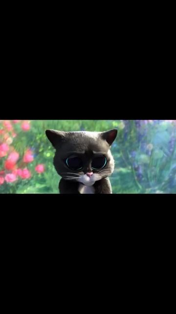 смешные моменты котиков и собачки #shorts #котики #кошка смотреть онлайн
