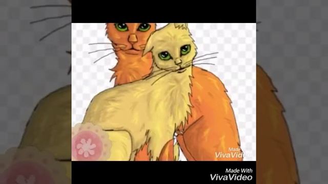 Мои любимые/нелюбимые пары кВ смотреть онлайн