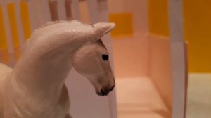 Типы лошадей Schleich 🐎 ❤