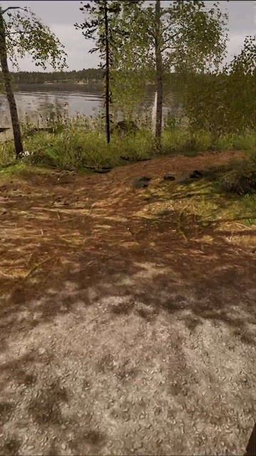 Турбо заглянул в туалет, а там... #FinnishCottegeSimulator смотреть онлайн