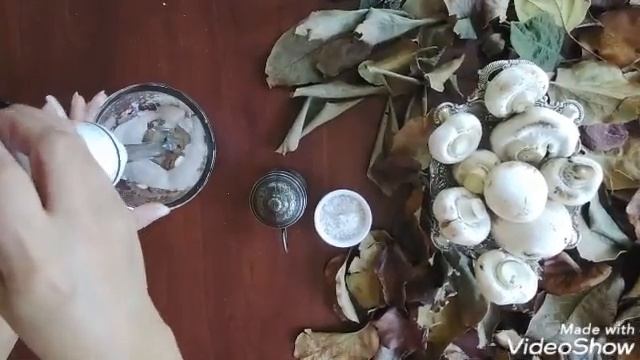 Маска из шампиньонов для всех типов кожи. Bütün dəri tipləri üçün göbələk maskası смотреть онлайн