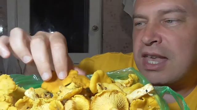 Мы на кухне и грибы лисички