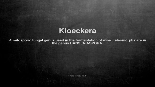 Medical vocabulary: What does Kloeckera mean смотреть онлайн