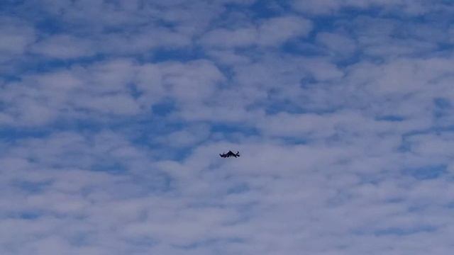 Серпастые голуби Зугрэса 19.11.2017 смотреть онлайн