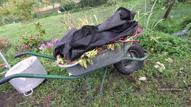 Садовой телеге 25 лет смотреть онлайн