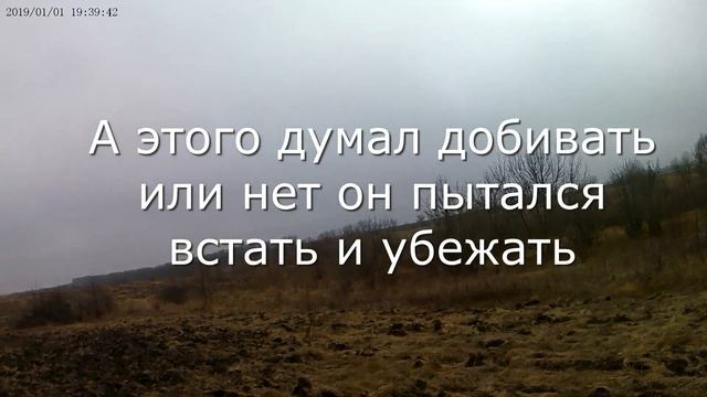 Открытие охоты по зайцу 2021 смотреть онлайн