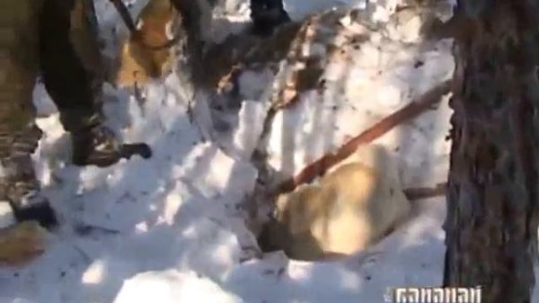 Охота на медведя Якутия Hunter bear