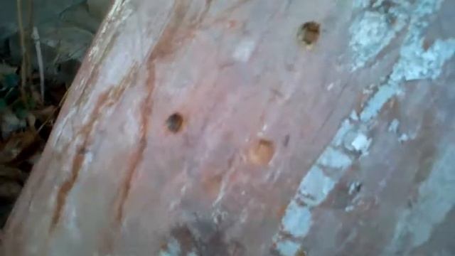 Видео008.mp4 смотреть онлайн