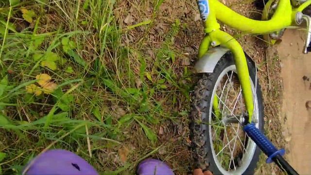 Влог на даче . Нашли грибы 🍄 смотреть онлайн