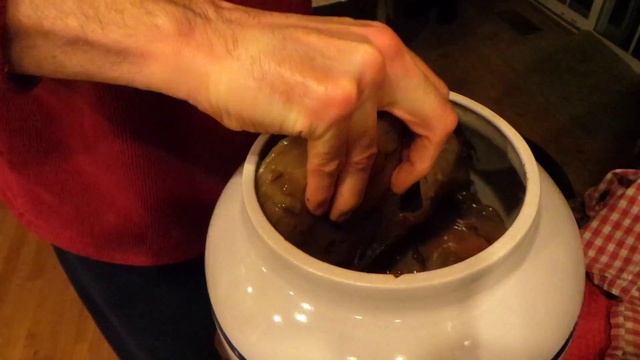 Super Scoby  (Continuous Brew Kombucha)