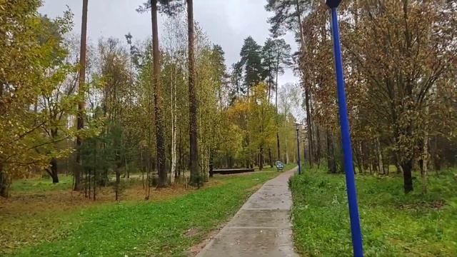 Моё маленькое чудо! Первый раз прививала яблони, три из четырех прививок прижились! смотреть онлайн