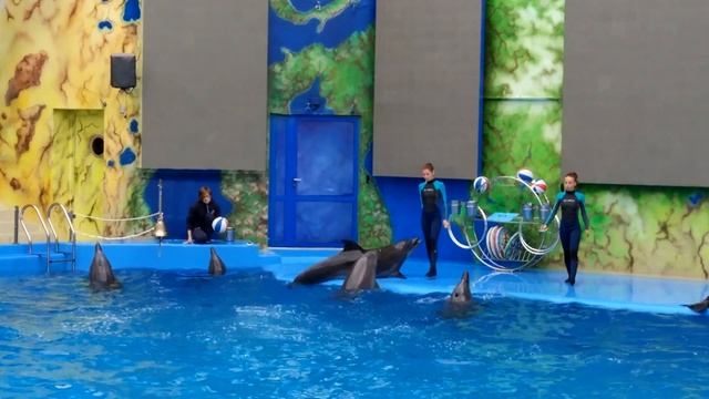 (5) Дельфинарий NEMO / Одесса / Пляж "Ланжерон" смотреть онлайн