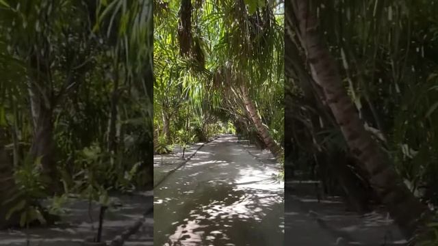 Cinnamon Hakuraa Huraa - Maldives смотреть онлайн
