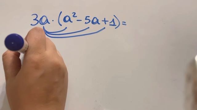 I polinomi смотреть онлайн