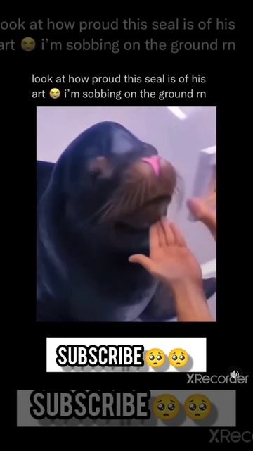 Look At How proud this Seal Is 😊😊 #Shorts смотреть онлайн