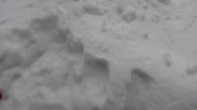 В Тайге с детьми в рюкзаках