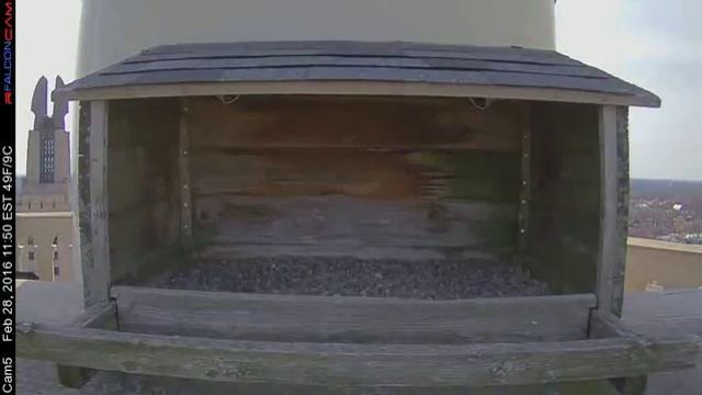 Camera 5 - 02/28/16 смотреть онлайн