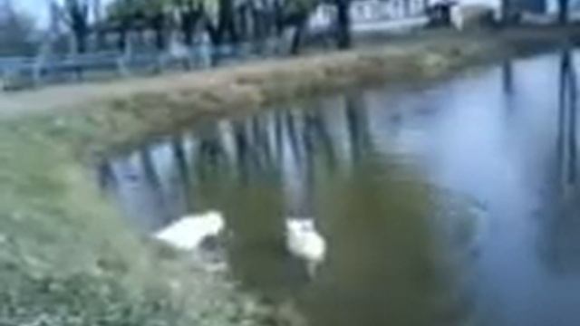 г.Кулебаки ул.Кирова смотреть онлайн