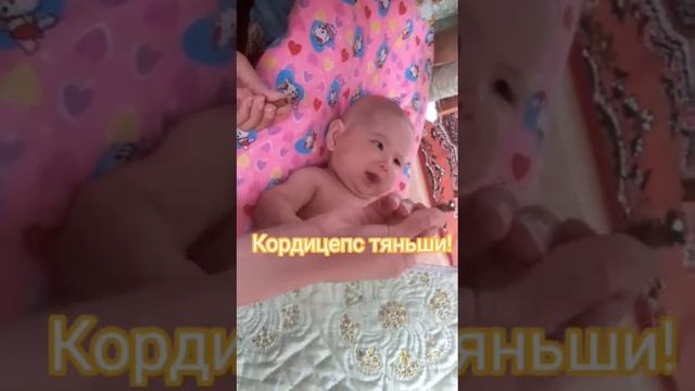 Кордицепс Кәусар