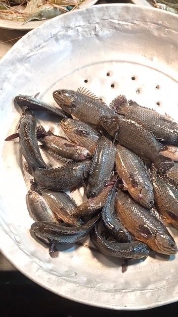#hasbirabbi #shorts #fishingvideo #fishing #bigfish #fish #subhanallah #ytshorts #viral смотреть онлайн