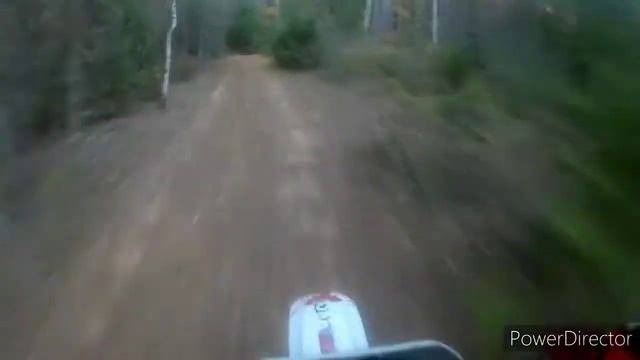 В лес по грибы