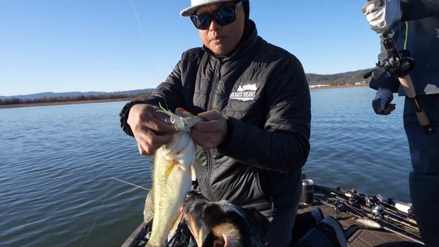 Lipless Crankbait Fishing on Clear Lake, California смотреть онлайн
