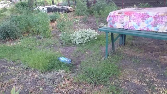 Подводное ружье смотреть онлайн