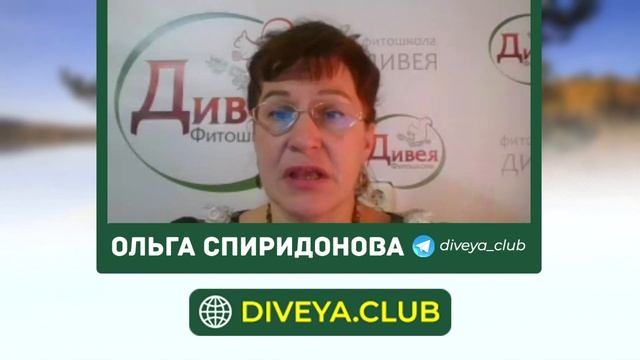 Можно ли животным давать отвары из трав? Основы травничества смотреть онлайн