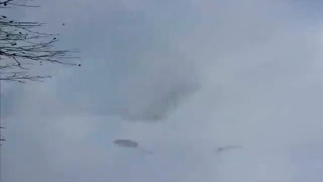 Скворцы смотреть онлайн